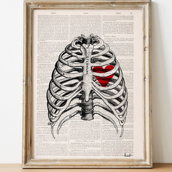 Art Prints  SVG - Heart trapped in a Rib Cage - Anatomy art - Love gift - Heart art - Science student gift - Nurse gift - SKA019