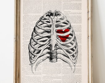 Anatomical Rib Cage & Red Heart Study Print | Cardiologist Present | Black Line Anatomy Art | Unique Medical Office Decor