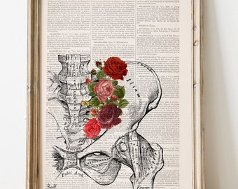 Vintage Pelvis Bone & Roses Art | Hip Anatomy Study Print | OB GYN Office Gift | Botanical Body Art