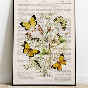 Home decor - Flower wall art - Seasonal Decor - Neutral Wall art - Wild Flowers and butterflies Art print - Naturalist study print- BFL236