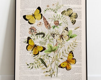Home decor - Flower wall art - Seasonal Decor - Neutral Wall art - Wild Flowers and butterflies Art print - Naturalist study print- BFL236