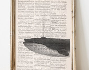 Wall Art Whale print - Dictionary art Whale print  - Wall decor Ocean art print - Sealife art Home decor - Octopus art print - SEA223