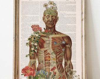 home gift - Muscle Anatomy Art - Anatomy Wall Art - Muscle Wall Art - Anatomical Decor - Anatomy Poster - SKA143