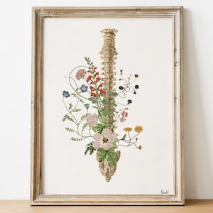 Neutral tones Spine - FloralArt - Anatomy Wall Art - Chiropractor Gift - therapist gift - Office Wall Art - SKA141