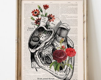 Art Prints  - Original Art - Heart with Roses Art - Wall art print - Anatomy Illustration - Love Wall Art - Anatomical Heart - SKA080