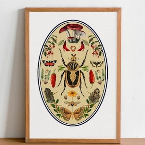 Beetle Art Print: Nature Collage Illustration