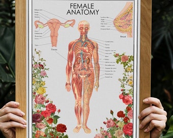 The Female Anatomy - Feminist - Anatomy Chart - Human Anatomy Art - Feminist OBGYN Decor - SKA255WA3