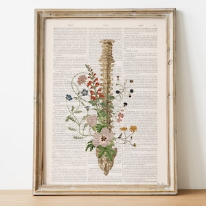 Impressão de anatomia da coluna vertebral em formato de flor em página de livro | Presente para quiroprático, fisioterapeuta ou médico | Arte de parede médica vintage | Decoração delicada de coluna com estampa floral
