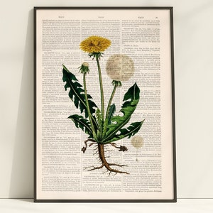 Gift for the home - Neutral Wall art - Dandelion Plant Art - Floral Art - Home Decor - Flower Illustration - BFL244