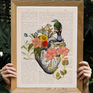 Wall art print Blue Bird on Anatomical Heart - Flower Heart art - Flower Anatomy Print- Anatomy Decor - SKA259PA3