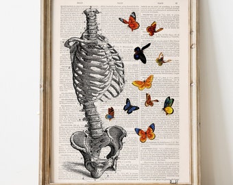 Butterflies in the Belly Skeleton Art Print | Romantic Love Gift for Him/Her | Torso Collage on Book Page