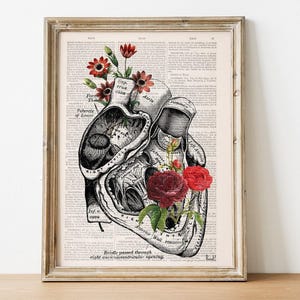 Wandkunst Blumen Herz Anatomie Druck auf Upcycled Buchseite | Rosen und menschliches Herz Collage | Einzigartiges Literarischer Doktor Geschenk