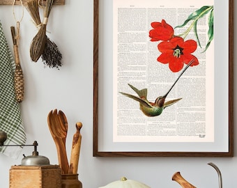 Book Page Hummingbird Gift | Antique Style Bird Print | Nature Wall Art on Recycled Paper | Red Tulip Print | Library Decor