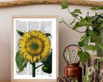 Sunflower Art Print: Botanical Illustration on Upcycled Book Page