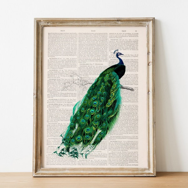 Original Art, Beautiful Peacock illustration printed on vintage book page, perfect for gifts, Classical Bird illustration Wall art, ANI148