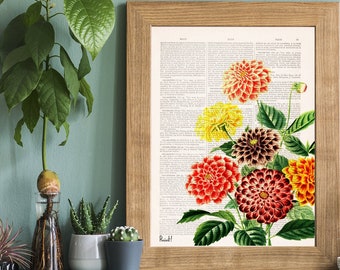 Home decor - Botanical Wall Art - Dahlia Wall Art - Flower Wall Art - Housewarming Gift - Flower Print - BFL081