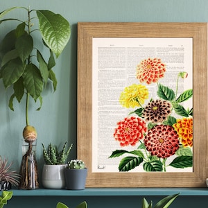 Home decor - Botanical Wall Art - Dahlia Wall Art - Flower Wall Art - Housewarming Gift - Flower Print - BFL081