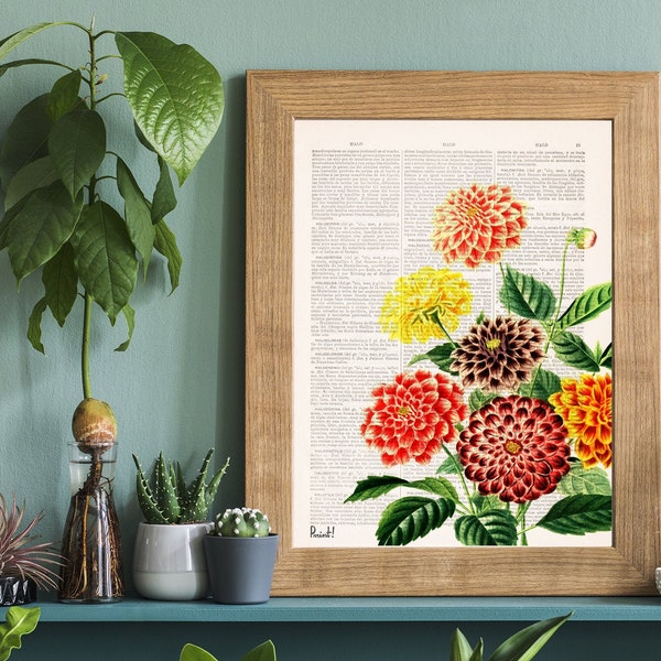 Home decor - Botanical Wall Art - Dahlia Wall Art - Flower Wall Art - Housewarming Gift - Flower Print - BFL081
