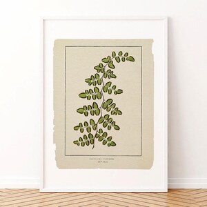 Grafika artystyczna z paprociami: ilustracja botaniczna w stylu vintage, rustykalny wystrój domu