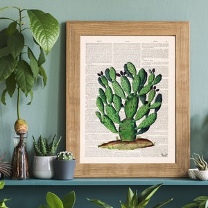 Opuntia Print - Gift for the home - Home decor - Gift for him - Cactus wall art print - Book print Opuntia Cactus on Vintage art - BFL037