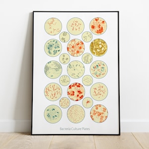 Bedroom decor teens - Red & Blue Bacteria Collection, Science Art, Science student gift, microbiology, biology print,  science gift, SKA300