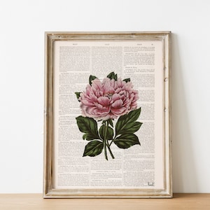 Pink Peony Flower Print: Upcycled Book Page Botanical Wall Art