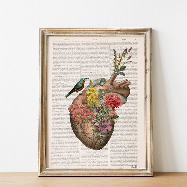 Art prints - Flower Heart Dictionary Print - Anatomical Heart - Flower Anatomy Print - Anatomy Decor  - Anatomy Illustration - SKA245