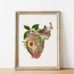 Original Art - Art prints - Wall art print Juicy Heart - Anatomical Heart - Anatomy Illustration - Love Wall Art - Heart with bird - SKA285