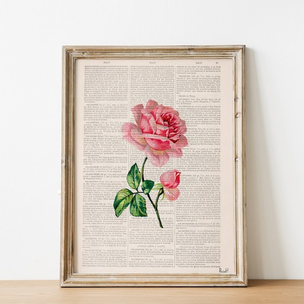 gift for her - Single Rose - Book Print Dictionary or Encyclopedia Page Print - Floral art - Rose art