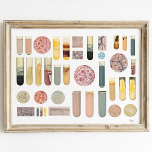 Wissenschaft ist schön, Bakterien und Röhrchen Sammlung, Wissenschaft Kunst, Wissenschaft Studenten Geschenk, Mikrobiologie, Biologie Kunst, Wissenschaft Geschenk, SKA307