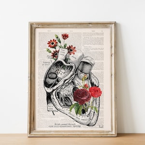 Heart with Roses Art Wall art print Anatomy Illustration Love Wall Art Anatomical Heart SKA080 image 1