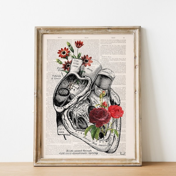 Heart with Roses Art - Wall art print - Anatomy Illustration - Love Wall Art - Anatomical Heart - SKA080