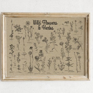 May include: A framed print with a beige background featuring a black and white illustration of various wild flowers and herbs. The title of the print is "Wild Flowers & Herbs".