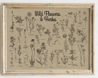 Vintage Wildflower Chart Print | Dark Academia Herbarium Poster