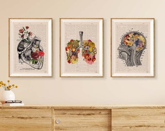 Wall decor Anatomical Art Poster - Set of 3 - Flower Anatomy - Botanical Anatomy Print - Medical Art Print - home decor - SET001