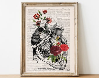 Christmas gift idea, Heart with Roses Art Print - Wall art print - Anatomy Illustration - Love Wall Art - Anatomical Heart - SKA080