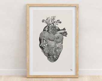 Arte mural de corazones - Lámina artística de anatomía de corazón de coral: Regalo para amantes del mar