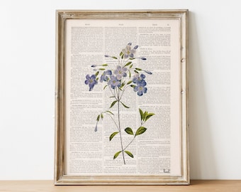 以下が含まれることがあります： 白い背景に青い花と緑の葉が描かれた、ヴィンテージの植物図の額装されたプリント。プリントは明るい木製のフレームで額装されています。