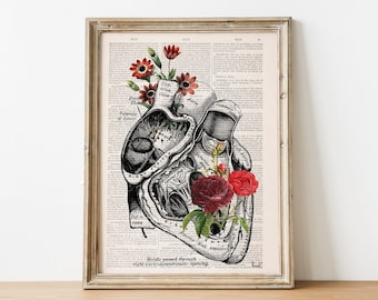 Heart with Roses Art - Wall art print - Anatomy Illustration - Love Wall Art - Anatomical Heart - SKA080