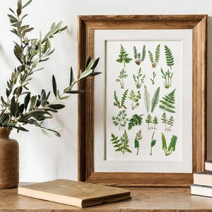 Boho Fern Art Print | Pressed Fern Collage Wall Art | Earthy Green Botanical Illustration | Natural History Museum Style Decor