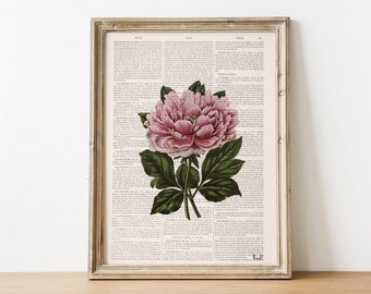 Regalo para el hogar - Estampado de peonía rosa - Decoración de la pared del baño - Flor de peonía - Estampados botánicos - Arte de pared de peonía - Arte floral - BFL048