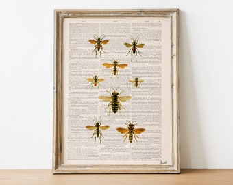 Home Decor, Spring decor, Wasps Art, Wall art prints, Educational Art Print on Dictionary Book, Wall Art Home Decor, BFL115