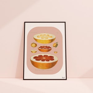 Pink Grapefruit Kitchen Art Print: Citrus Wall Decor