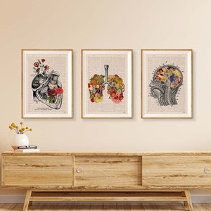 Wall decor Anatomical Art Poster - Set of 3 - Flower Anatomy - Botanical Anatomy Print - Medical Art Print - home decor - SET001