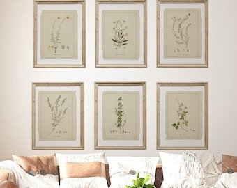 Botanical Wildflower Print Set: Vintage French Farmhouse Gallery Wall Art