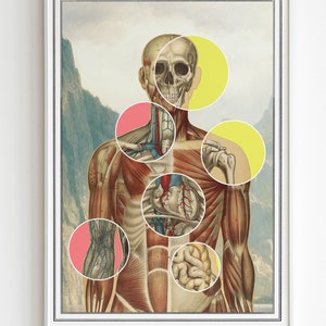 Muscles and organs collage Anatomy Art - Anatomy Wall Art - Anatomical Decor - Anatomy Print - Anatomy Poster - SKA254WA3