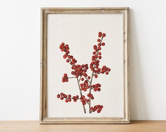Red Berry Branch Botanical Print: Vintage Style Christmas Wall Art