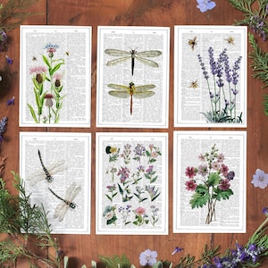 Jeu de cartes postales botaniques : abeilles, lilas, libellules - papier mat d'archives
