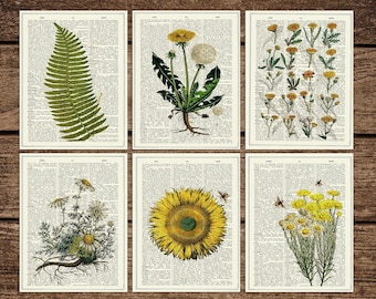 Set di cartoline floreali - Biglietto d'auguri - Regalo per lei - Cartoline fiori gialli - Set di 6 - Biglietto di ringraziamento floreale - Cartoline - PSC007