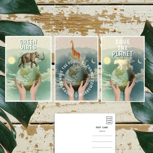 Lot de 6 cartes de remerciement - Sauvez la planète - Animaux - Cartes postales éléphant - Cartes postales ours - PSC014